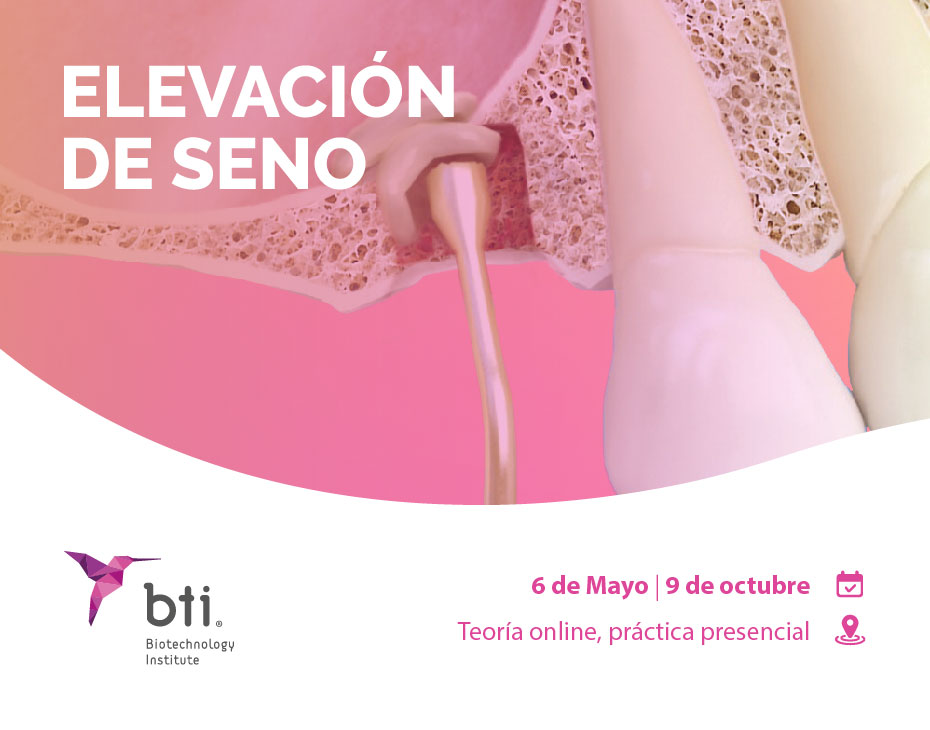 BTI. Elevación de Seno